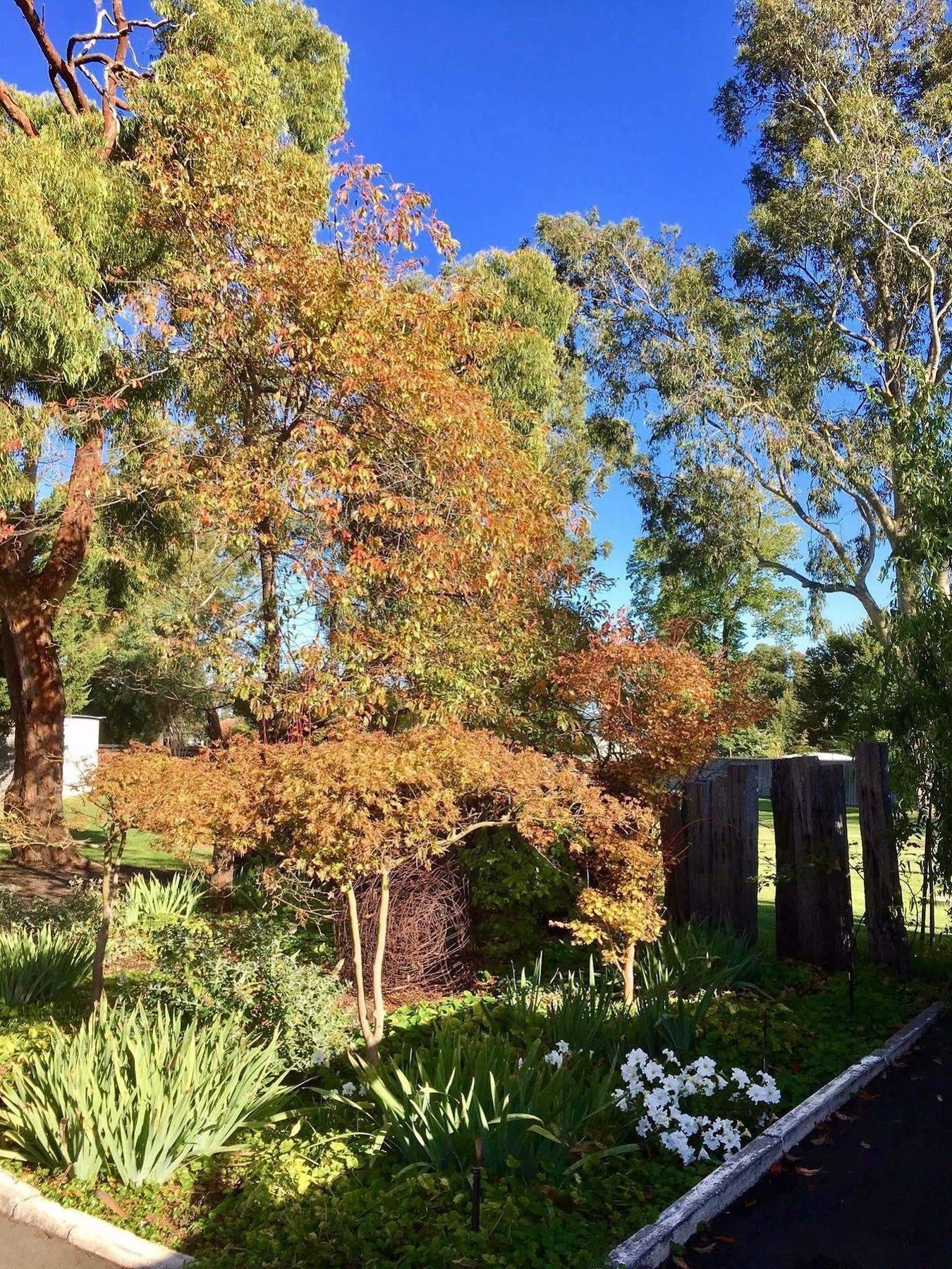 Manjimup Kingsley Motel Dış mekan fotoğraf